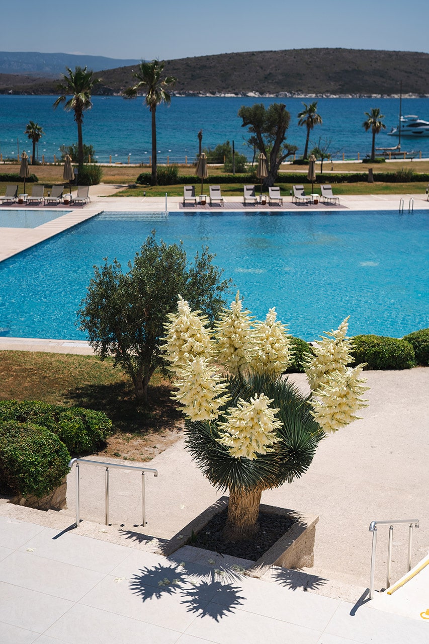 dolce-by-wyndham-cesme-alacati-gallery-photos-14